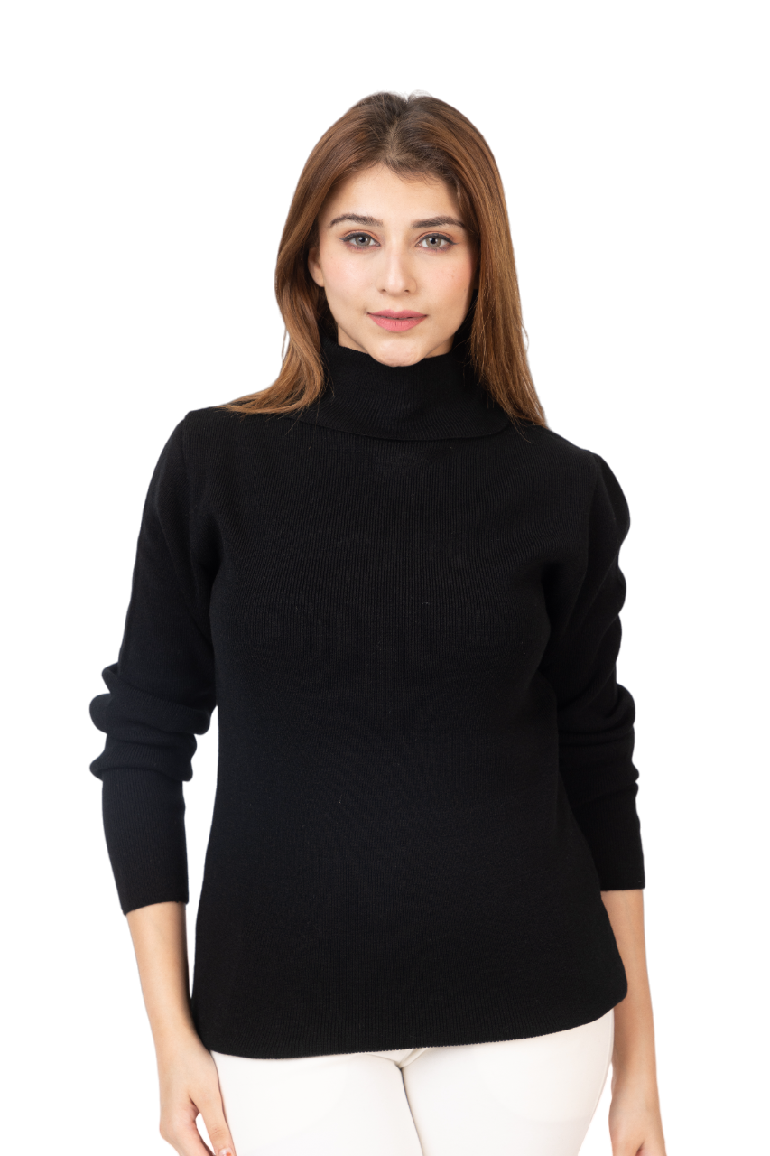 6041 Black Soft And Warm High Neck Skivvy Winter Wear TWENTY ME